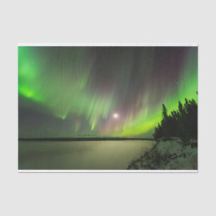 Majestic Aurora Tissue Paper