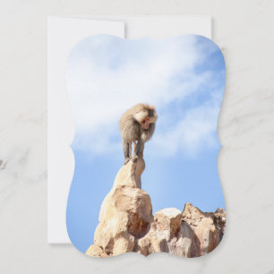 Majestic Baboon on Mountain Peak Card
