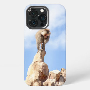 Majestic Baboon on Mountain Peak iPhone 13 Pro Case