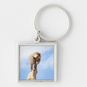 Majestic Baboon on Mountain Peak Key Ring