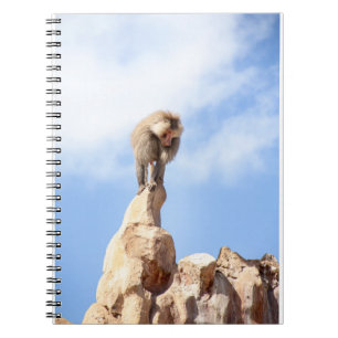 Majestic Baboon on Mountain Peak Notebook