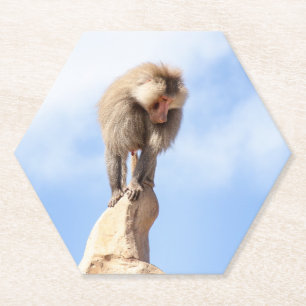 Majestic Baboon on Mountain Peak Paper Coaster