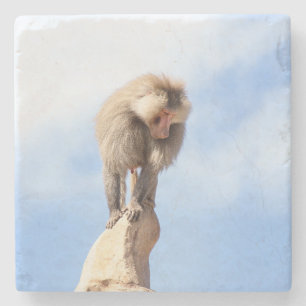 Majestic Baboon on Mountain Peak Stone Coaster