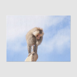 Majestic Baboon on Mountain Peak Tissue Paper