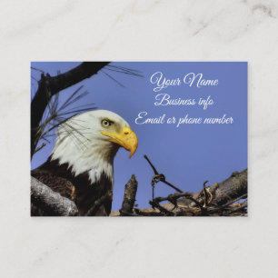Majestic Bald Eagle  Business Card