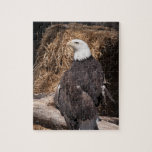 Majestic bald eagle jigsaw puzzle<br><div class="desc">Majestic bald eagle</div>