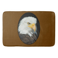 Majestic Bald Eagle Portrait