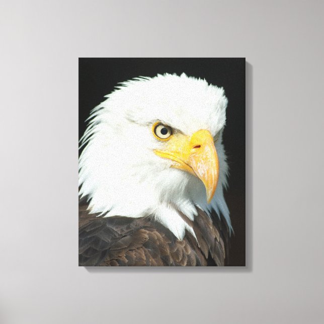 Majestic Bald Eagle Portrait Canvas Print (Front)