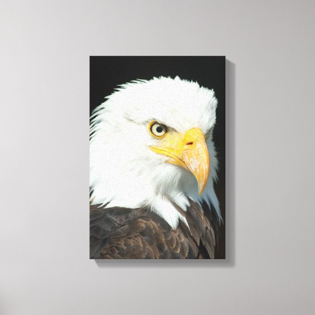 Majestic Bald Eagle Portrait Canvas Print (Front)