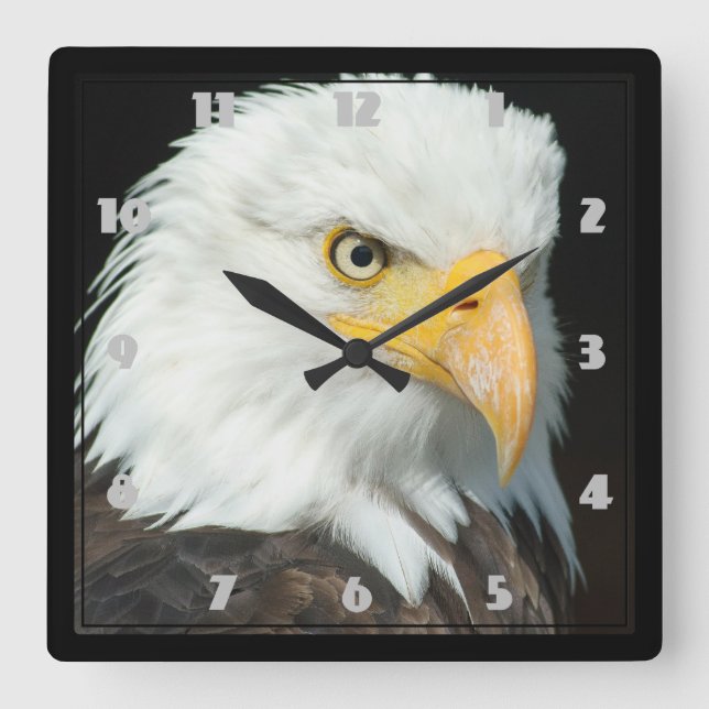 Majestic Bald Eagle Portrait Square Wall Clock (Front)