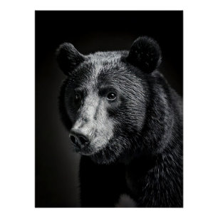 Majestic Bear Portrait - Black and White Wildlife Poster
