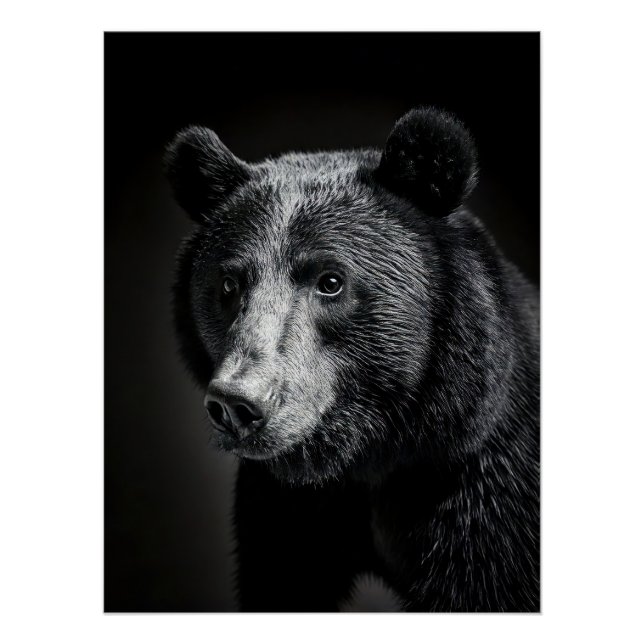 Majestic Bear Portrait - Black and White Wildlife Poster (Front)