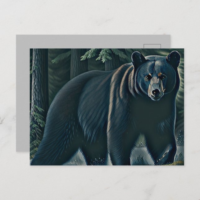 Majestic Black Bear Of The North Woods Postcard (Front/Back)