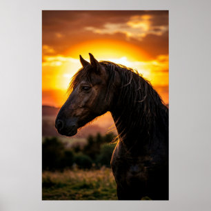 Majestic Black Horse Sunset Poster   Elegant Weste