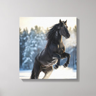 Majestic Black Stallion in Winter Snow  Canvas Print