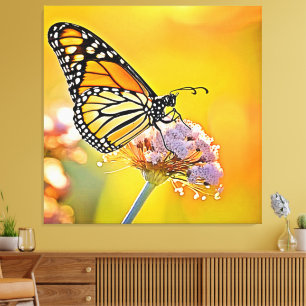 Majestic Butterfly Close Up Design Canvas Print