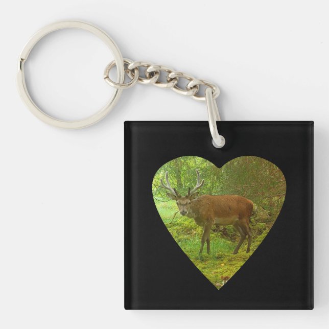 Majestic Cautious Antlered Deer Powerful Wildlife  Key Ring (Front)