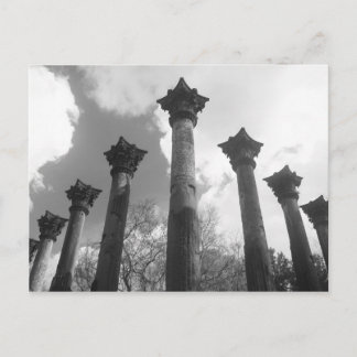 Majestic Columns of Windsor Ruins - Port Gibson MS Postcard