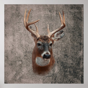 Majestic Deer Against Rustic Background Poster