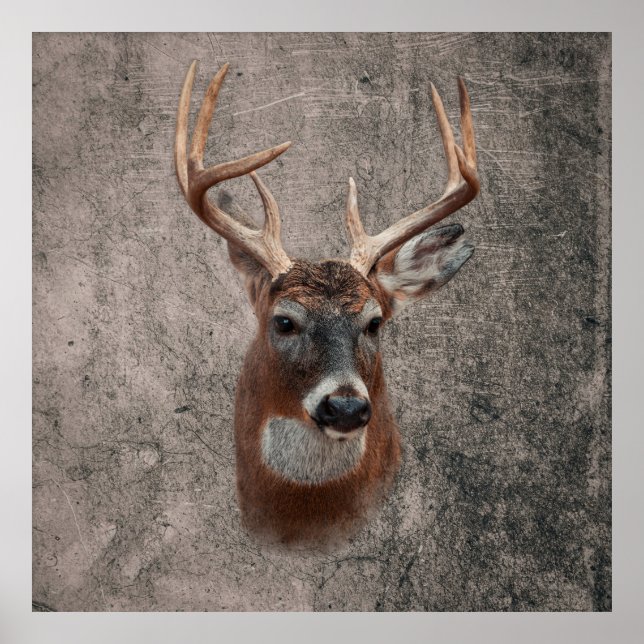 Majestic Deer Against Rustic Background Poster (Front)