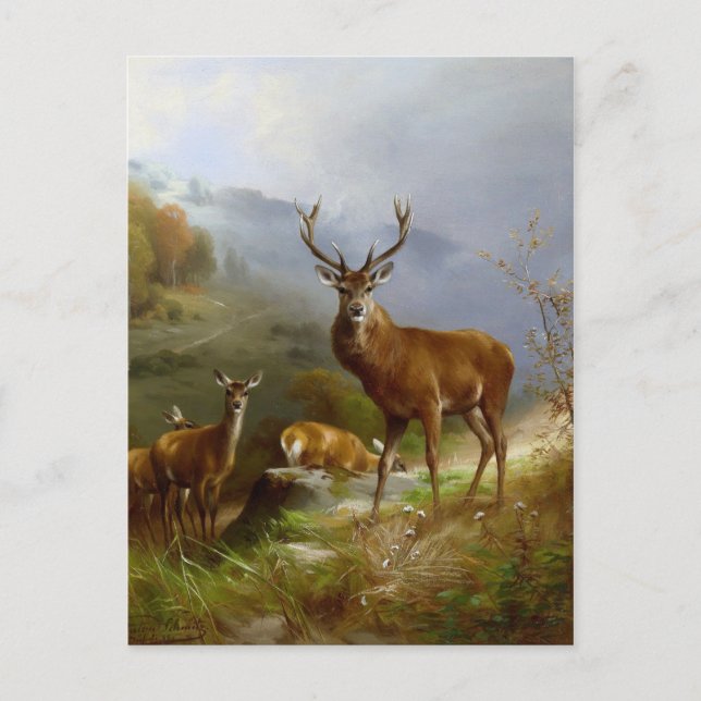 Majestic Deer ~ Postcard (Front)