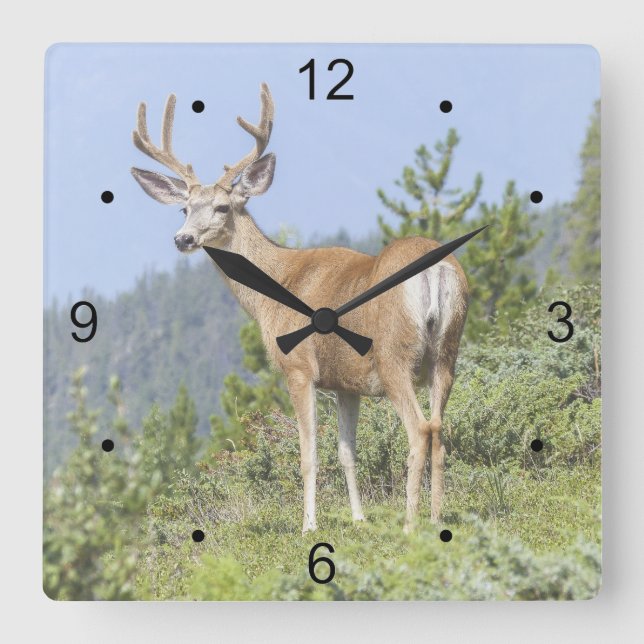 Majestic Deer Square Wall Clock (Front)