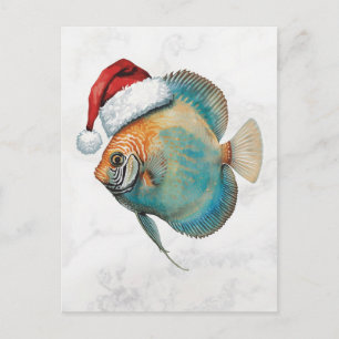 Majestic Discus Fish in Santa Hat Watercolor Holiday Postcard