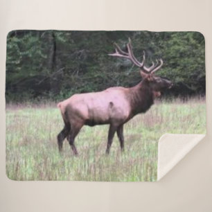 MAJESTIC ELK SHERPA BLANKET