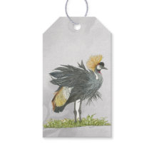 Majestic Endangered Grey Crowned Crane