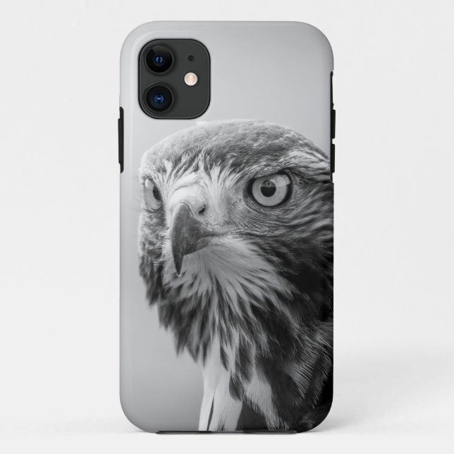 Majestic Flight: Eagle Birds iPhone 11 Case (Back)
