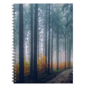 Majestic Forest Tree Lined Path Notebook