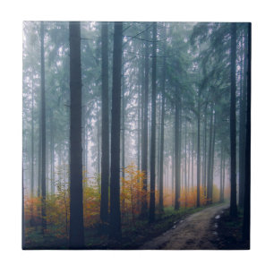 Majestic Forest Tree Lined Path Tile