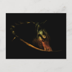 Majestic Gaze: Fine Art Horse Portrait Postcard