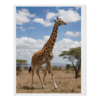 Majestic Giraffe Walking Across the African Savann
