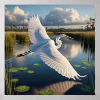 Majestic Great Egret in Tranquil Wetlands