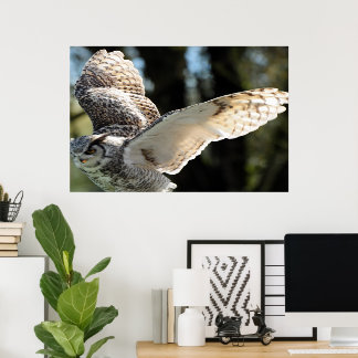  Majestic Great Horn Owl Poster