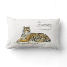Majestic Hand painted Bengal Tiger