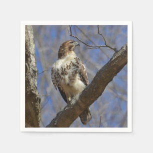 Majestic Hawk Napkin