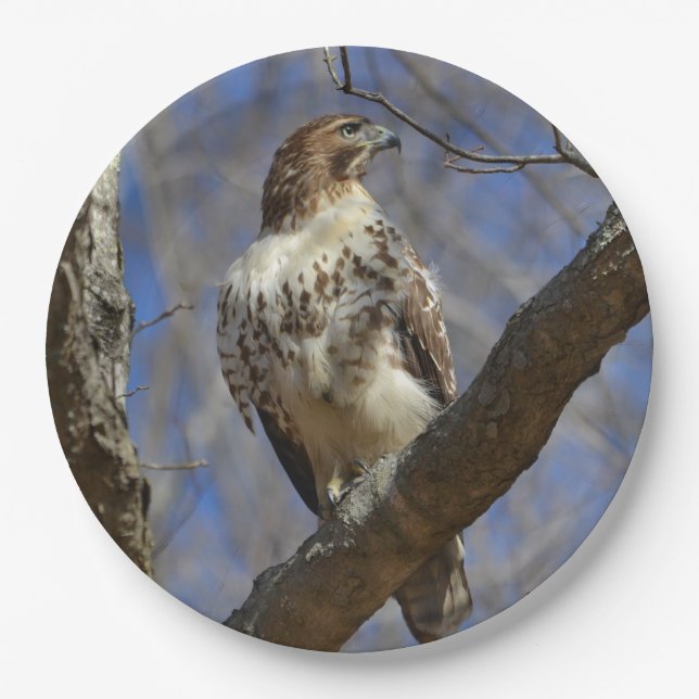 Majestic Hawk Paper Plate (Front)