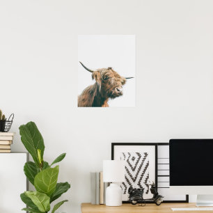 Majestic Highland cow portrait Poster