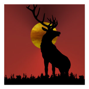 Majestic Horned Deer in Golden Sunlight Poster