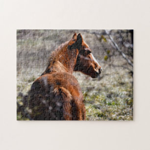 Majestic horse at farm Georgia, USA Jigsaw Puzzle