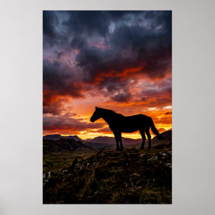 Majestic Horse Silhouette Sunset Poster   Luxury 