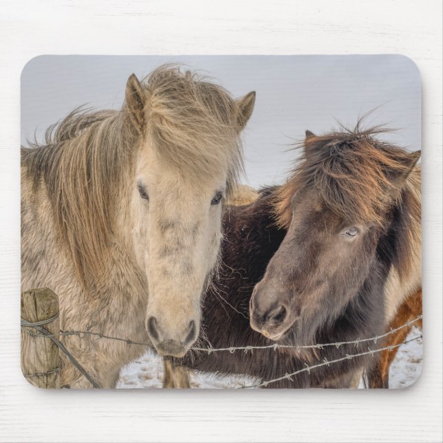Majestic Icelandic Horses Mouse Pad (Front)