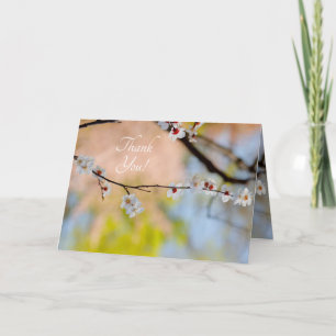 Majestic Japanese Apricot Flowers Thank You Card