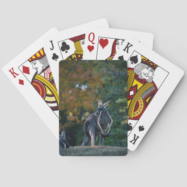 Majestic Kangaroo Playing Cards (Back)
