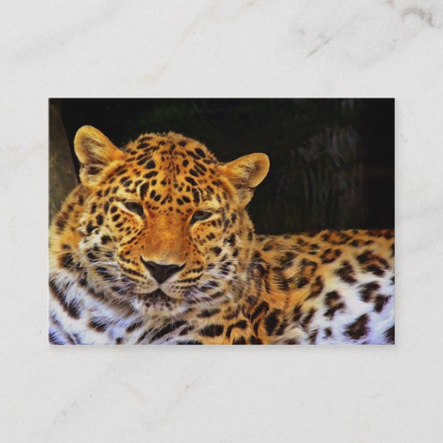 Majestic Leopard Business Card (Front)