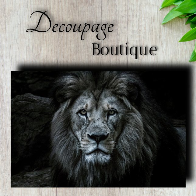 Majestic Lion Decoupage Tissue Paper (Majestic Lion Decoupage Tissue Paper)