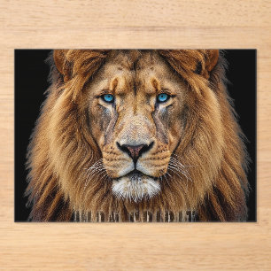 Majestic Lion Face with Blue Eyes Wildlife Anima Acrylic Invitations