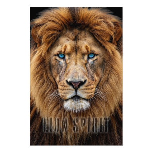 Majestic Lion Face with Blue Eyes Wildlife Anima Photo Print